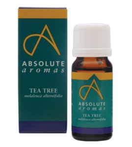 Absolute Aromas Tea Tree Essential Oil (10ml) - The Medicine Cupboard